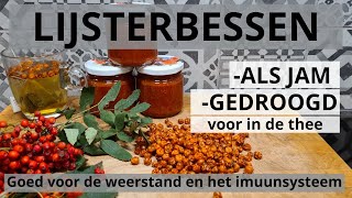 Lijsterbessenjam en Gedroogd Goed voor de Weerstand en het Immuunsysteem [upl. by Eem]