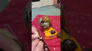 We are eating Ferrero Rondnoir maddog amp I making fun together ASMR short 5 [upl. by Eicyak]