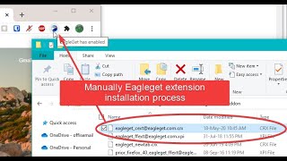 Manually Repair Or Add Eagleget Extension In Chrome [upl. by Shanks748]