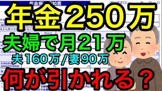 【夫婦で年金250万円月21万円何がいくら引かれる？】年金から引かれるもの、所得税住民税国民健康保険料介護保険料等について社労士が解説します。国保ねんきん厚生年金国民年金住民税非課税 [upl. by Beora]