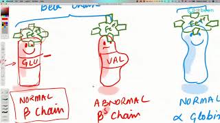 COVID19 Insights Sickle Cell and Thalassemia [upl. by Yeargain]