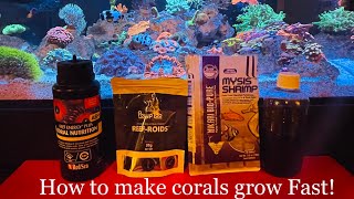 What to feed corals to increase growth and color Best coral food to make corals grow fast [upl. by Leatri]