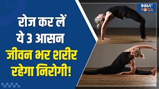 Yoga for Stomach रोज कर लें ये 3 आसन जीवन भर शरीर रहेगा निरोगी  Yogatips  Yoga  Health [upl. by Schlessel]