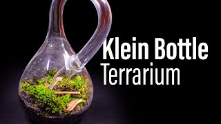 I Made the First Klein Bottle Terrarium Very Difficult [upl. by Mannuela573]