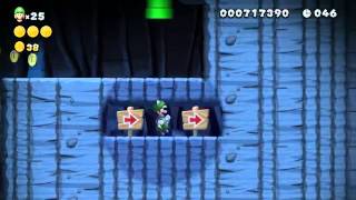 New Super Luigi U  Acorn Plains 12 Secret Exit [upl. by Enirak]