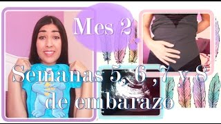 Mes 2 💕 EMBARAZO💕 Semanas 567 y 8 Este bebé viene guerrero Muchos síntomas y ecografías [upl. by Tiga38]