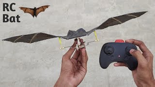 RC Ornithopter flying test upgraded from rubberband powered shorts [upl. by Llevol903]