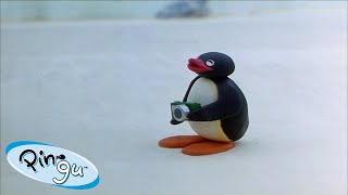 Best Episodes from Season 2  Pingu  Official Channel  Cartoons For Kids [upl. by Gudren]