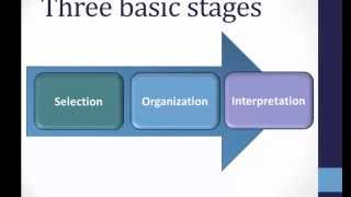 Perception Basics [upl. by Yrreiht]