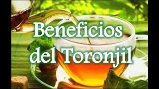 Beneficios del toronjil [upl. by Eirak]