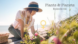 PLANTS amp PLANETS episode02 Taurus amp Horsetail  Venus amp The Rose [upl. by Meeki314]