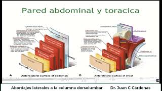 Abordajes laterales a la columna dorsolumbar [upl. by Seitz]