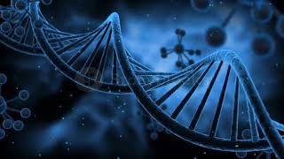 The Structure and Components of DNA [upl. by Norse354]