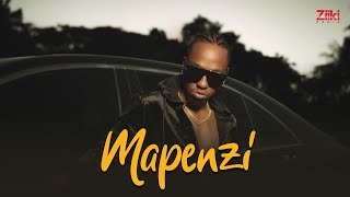 Rich Mavoko  Mapenzi Official Music Video [upl. by Atiuqer]