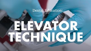 A demonstration of elevator technique for dental extraction [upl. by Eerb]