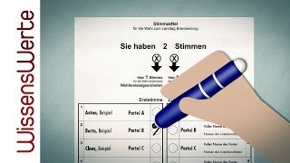 WissensWerte Landtagswahlen und Kommunalwahlen Brandenburg [upl. by Steffy]