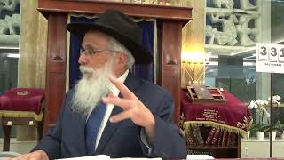 Jewish Etiquette 2  Daily Halacha [upl. by Unam936]