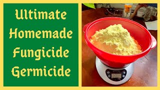 How to make organic Pesticide Insecticide Fungicide for all plants Amazing all in one solution [upl. by Komara550]