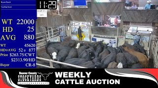 7232024  Beaver County Stockyards Weekly Cattle Auction [upl. by Yerfdog970]