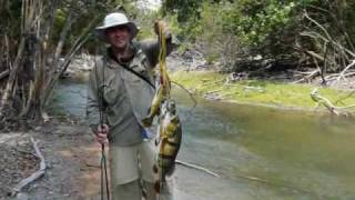 Pesca de Pavon llanos Venezolanos [upl. by Lifton]