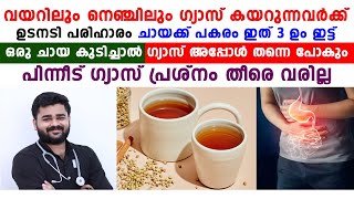 വയറിലും നെഞ്ചിലും ഗ്യാസ് കയറുന്നവർക്ക് ഉടനടി പരിഹാരം  gastrouble malayalam [upl. by Nylaf]