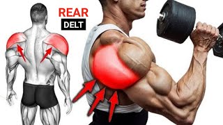 Target Your Rear Delts Top 5 Gym Exercises for Growth [upl. by Veronica934]