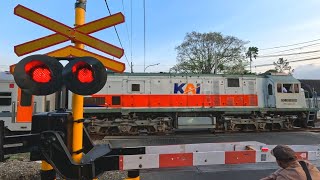 4 Perlintasan Kereta Api Palang ALKMAAR  Tampilan Baru [upl. by Euqinad]