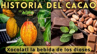 EL CACAO La Bebida de los Dioses [upl. by Ramoh]