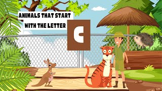 5 Amazing Animals That Start with the Letter C  Education animal video for Kids [upl. by Vetter]