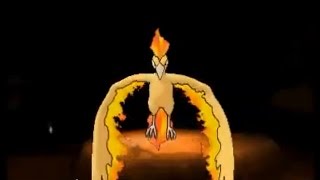 Pokemon XY  Catching Moltres battle and guide [upl. by Weig]