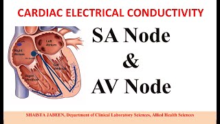 Heart lung machine in OT Biomedical engineeringcardiopulmonary bypass pumpopen heart surgery [upl. by Ecnadnac]