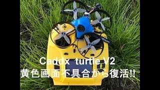 Beta85X HD搭載カメラのCaddx turtle V2黄色画面不具合から復活 [upl. by Egrog779]