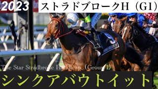 シンクアバウトイットが7連勝！末脚炸裂でG1・2勝目【ストラドブロークH 2023】 Think About It【The Star Stradbroke Handicap 2023】 [upl. by Conger836]