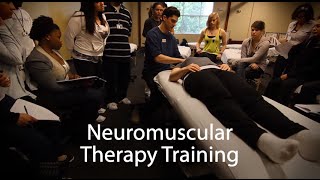 Neuromuscular Therapy NMT  Massage Therapy School  National Holistic Institute NHI [upl. by Bucher522]