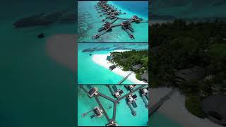 Angsana Velavaru Maldives drone angsana maldives drone arial angsanavelavaru [upl. by Laresa374]