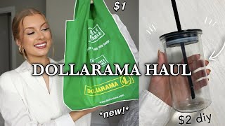 DOLLARAMA HAUL NEW AMAZING FINDS  Easy Dollar Store DIY [upl. by Marjana580]