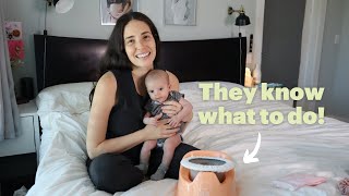 How We Potty Trained Our Babies from Birth Using Elimination Communication We did it with Twins [upl. by Gore963]