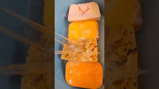 ASMR Sudsy to clear porous sponge rinsing shorts asmrsponge sponge [upl. by Korwin]