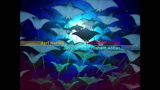 Nari Narien Jay Dabhi remix Full Version  Jay Dabhi vsHisham Abbas [upl. by Asyen]