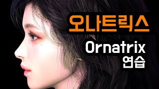 오나트릭스ornatrix 연습 3DS MAX AND ORNATRIX HAIR [upl. by Teryl]