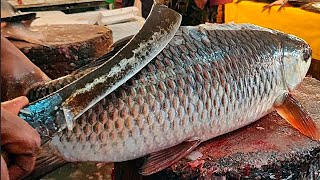 Amazing Cutting Skills  Big Rohu Fish Skinning amp Chopping By Expert Fish Cutter [upl. by Jonathan]