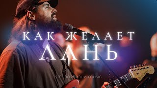 Как желает лань псалом 41  Карен Карагян  Слово жизни Music [upl. by Seuqramed]