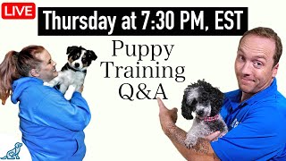 The 5 Most Important Questions In Puppy Training [upl. by Ardie563]