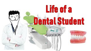 Life of a DENTAL STUDENT  Yogi Baba [upl. by Ahsaet]