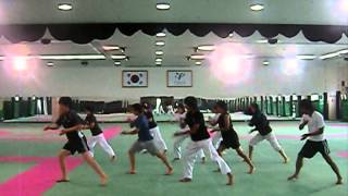 PERFECT Koryo Poomsae at Yongin University [upl. by Dinsdale]