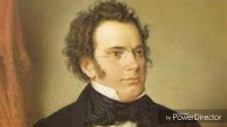 Schubert  Symphony 8 quot Unfinished quot [upl. by Ellertnom621]