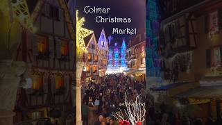 Christmas Market in Colmar コルマールのクリスマスマーケット コルマール アルザス地方 クリスマスマーケット [upl. by Lala]