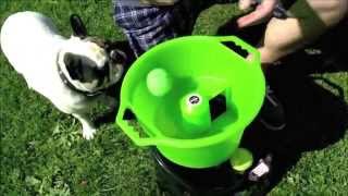 GoDogGo Fetch Machine Automatic Ball Thrower for Dogs [upl. by Ligetti]