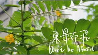 亞東科技大學113級畢業歌《東畢而飛Don’t be Afraid》Official Music Video [upl. by Ellegna]