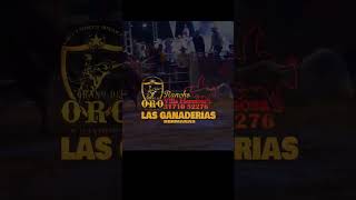 Pichón de Nayarit Vs Campacam de La Hermandad Rancho Grano de Oro Y Rancho Villa Hermosa [upl. by Ralip316]